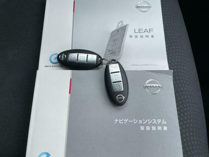 LEAF