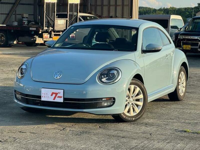 THE BEETLE