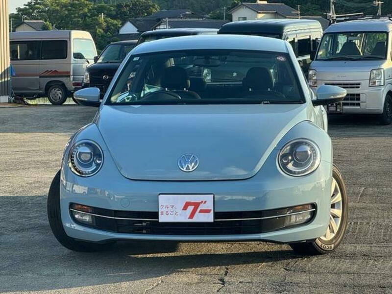 THE BEETLE