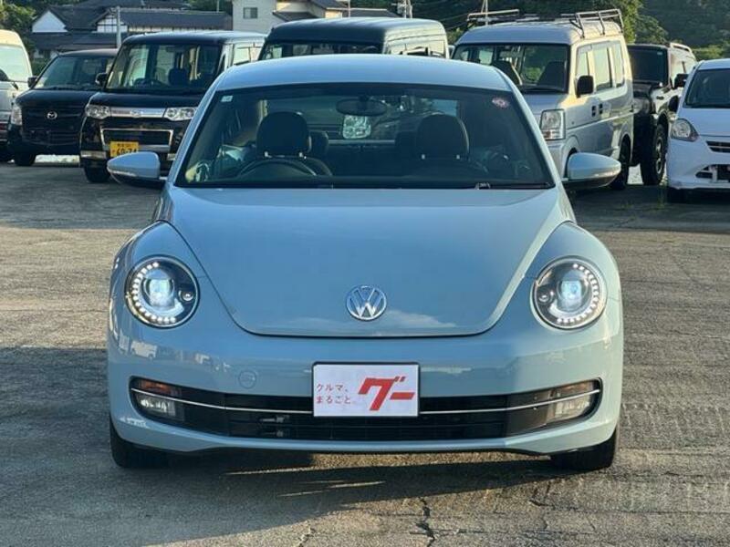 THE BEETLE