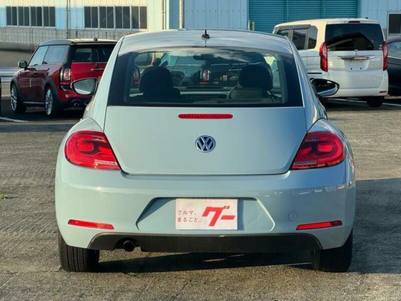 THE BEETLE