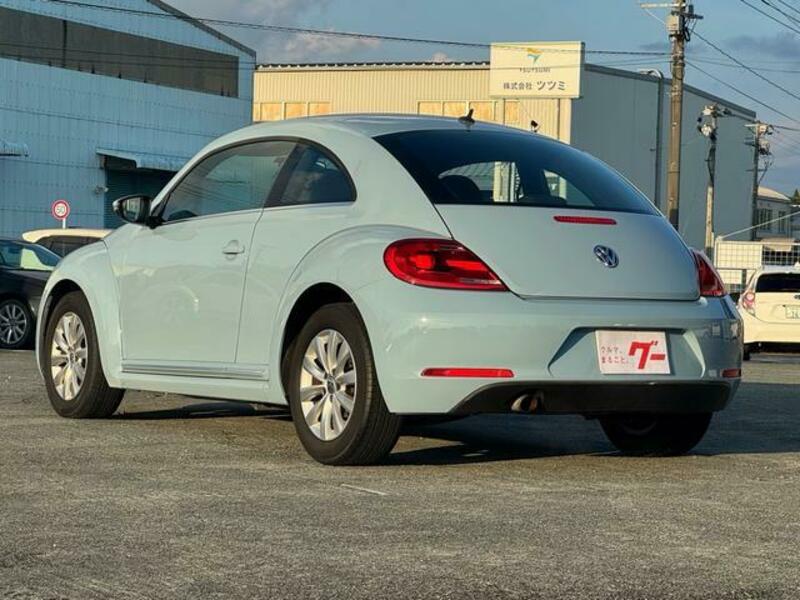 THE BEETLE