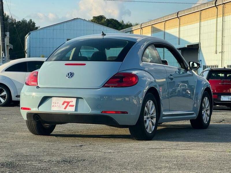 THE BEETLE