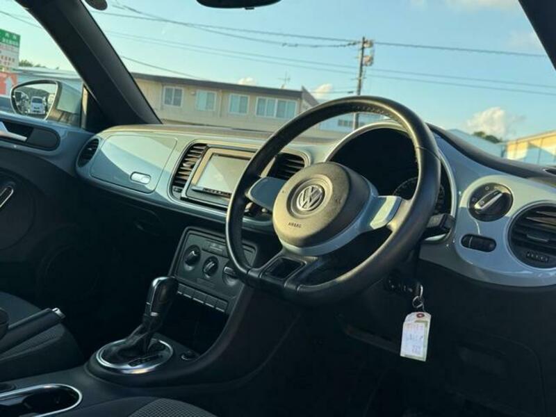 THE BEETLE