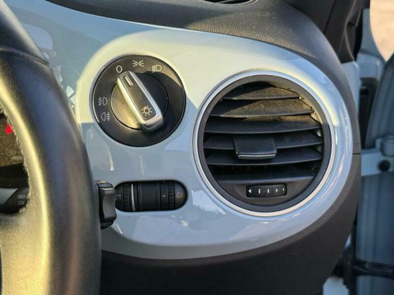 THE BEETLE