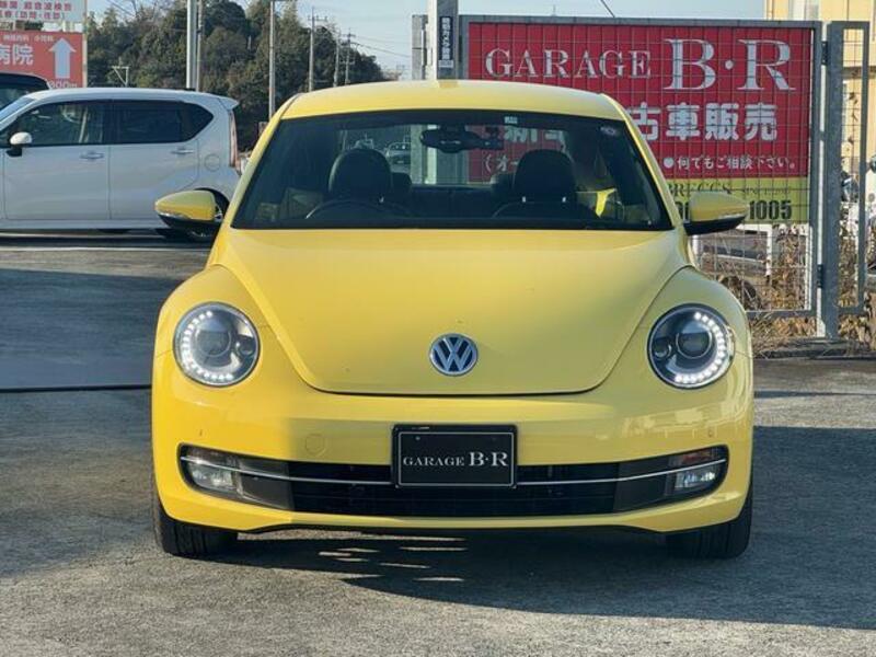 THE BEETLE