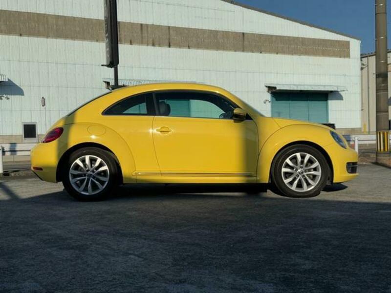 THE BEETLE