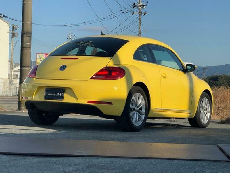 THE BEETLE