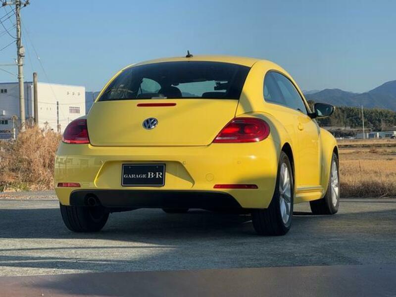 THE BEETLE