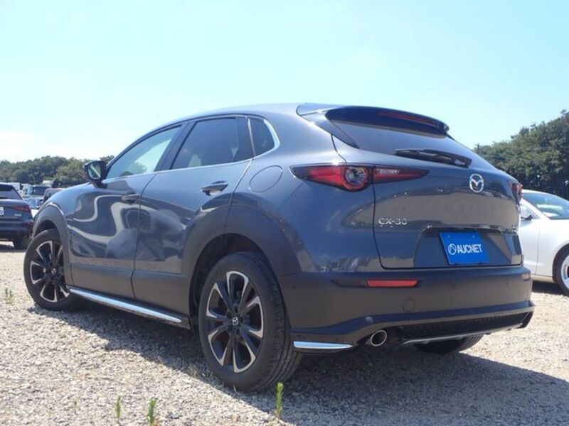 CX-30