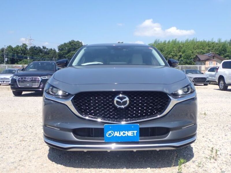 CX-30