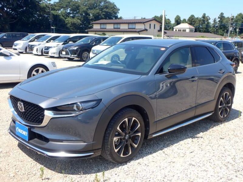 CX-30