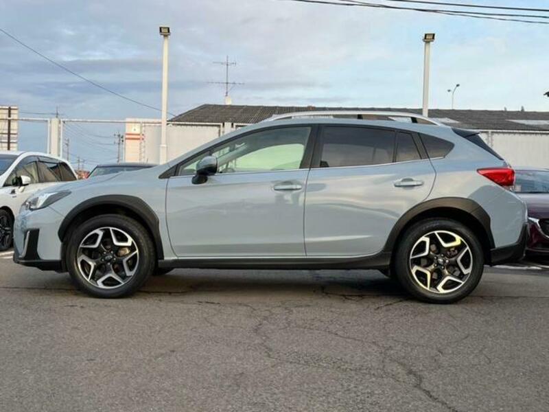 XV