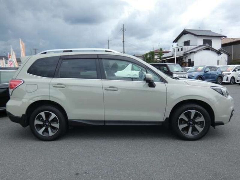 FORESTER