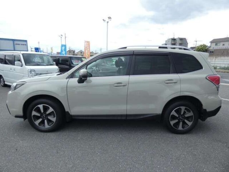 FORESTER