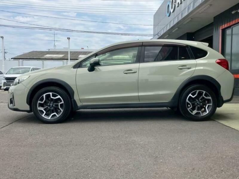 XV