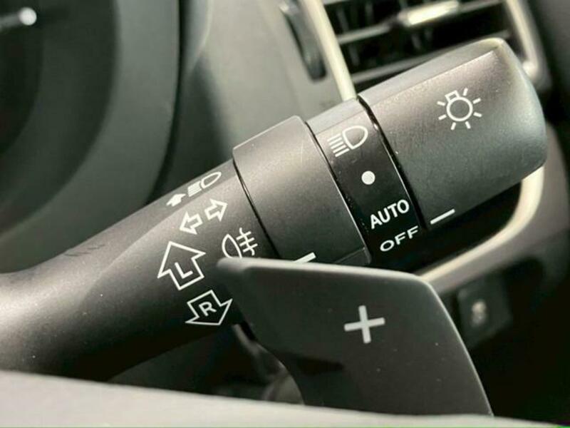 XV