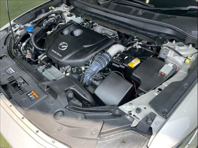 CX-8
