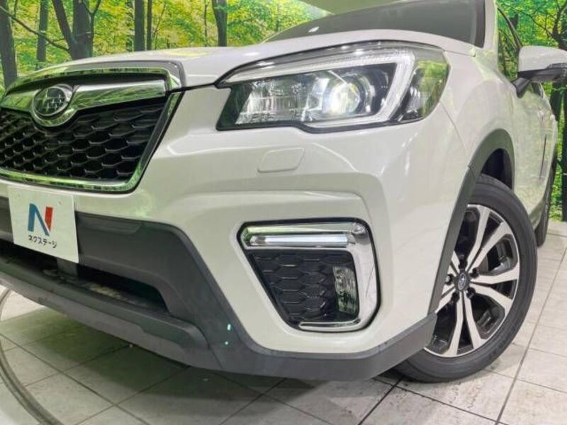FORESTER
