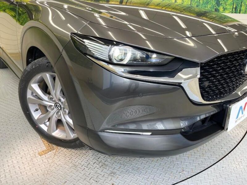 CX-30