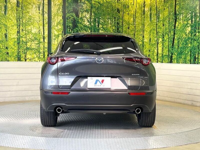 CX-30