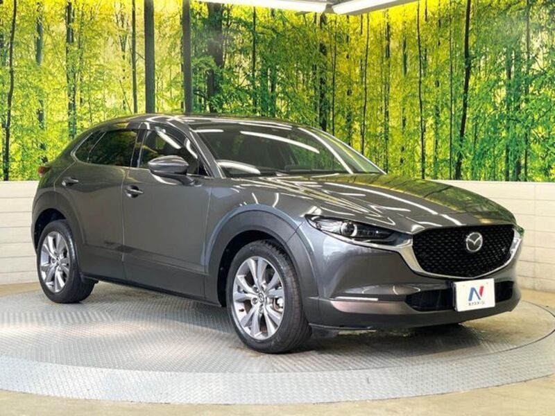 CX-30