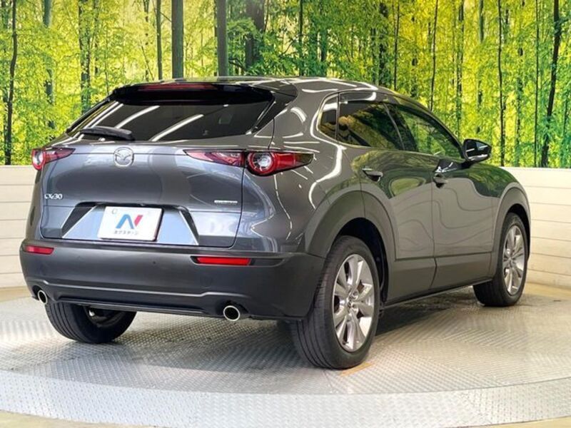 CX-30