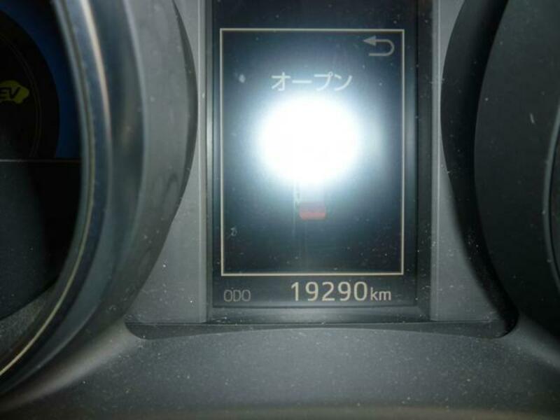 AURIS