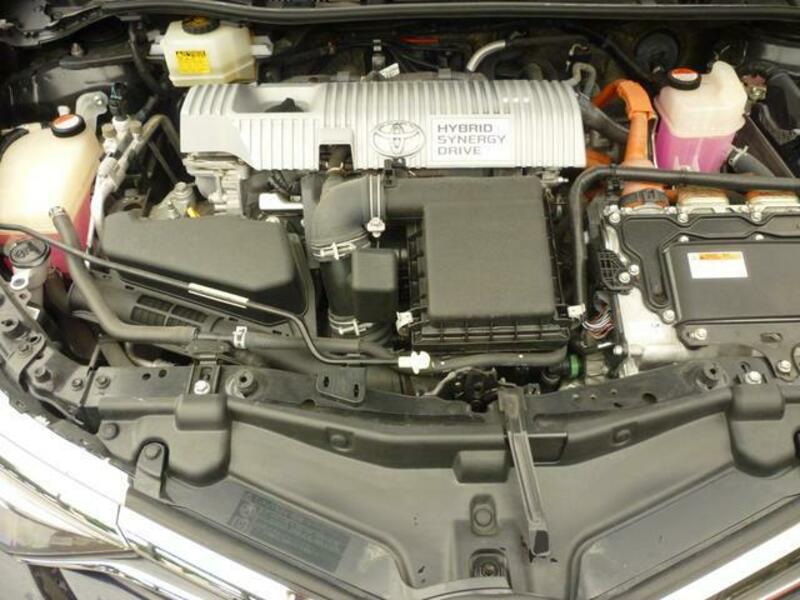 AURIS