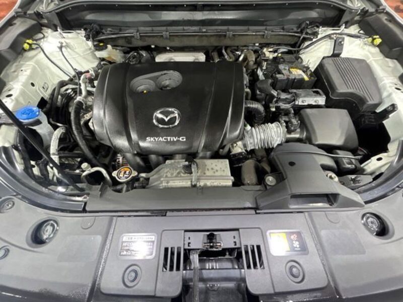 CX-8