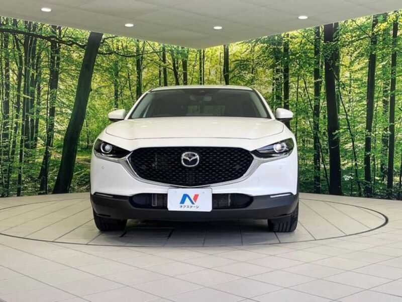 CX-30