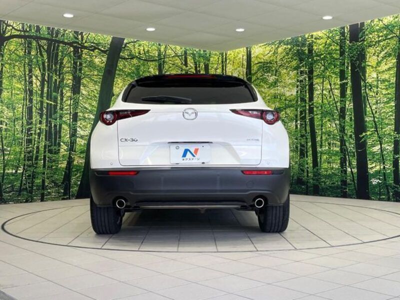 CX-30