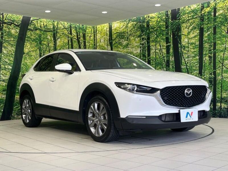 CX-30