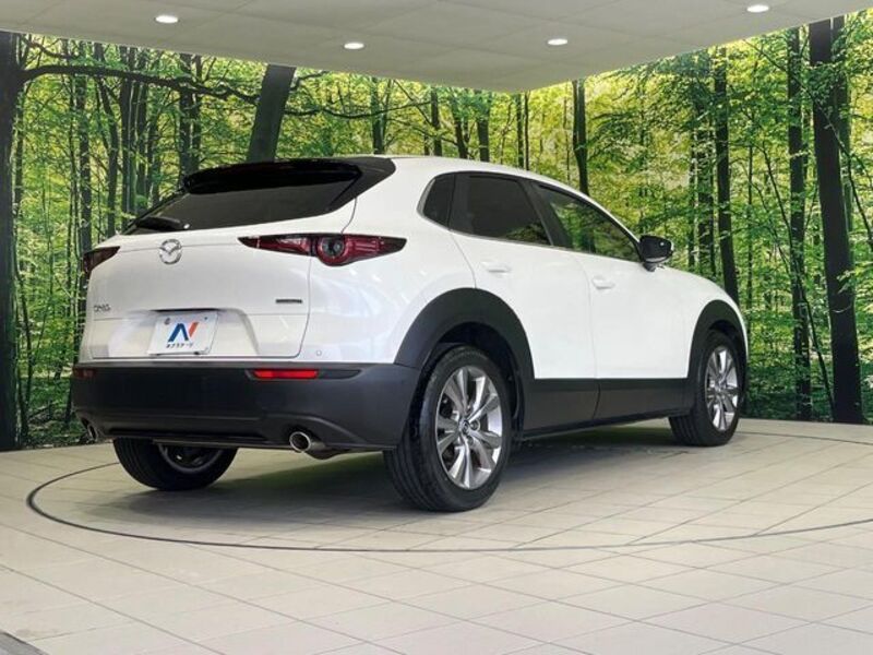 CX-30