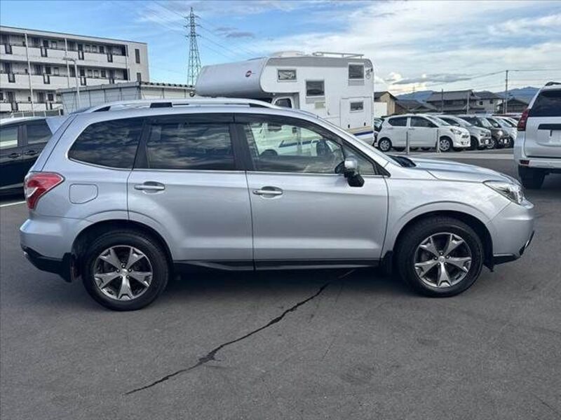 FORESTER