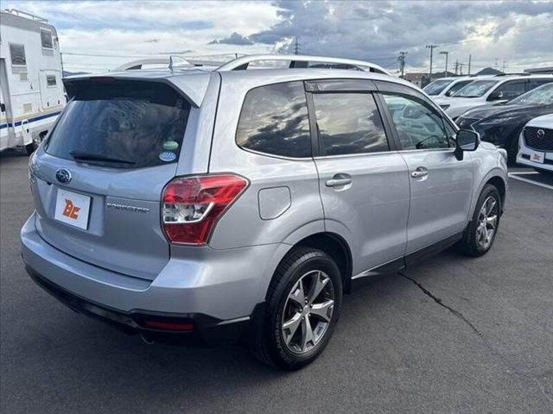 FORESTER