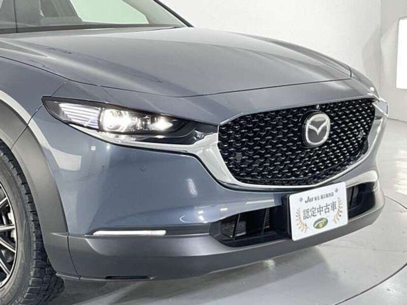 CX-30