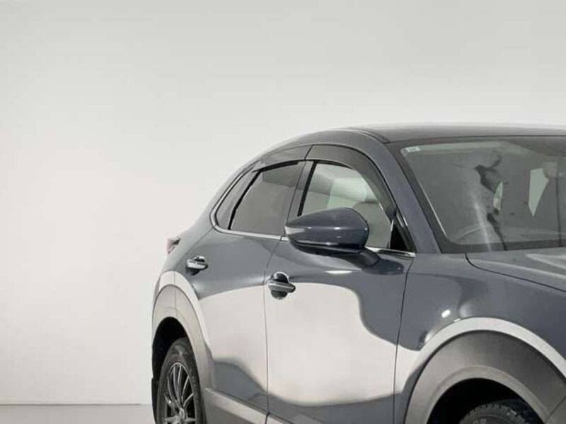 CX-30