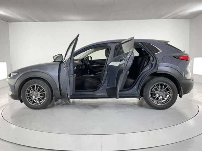 CX-30