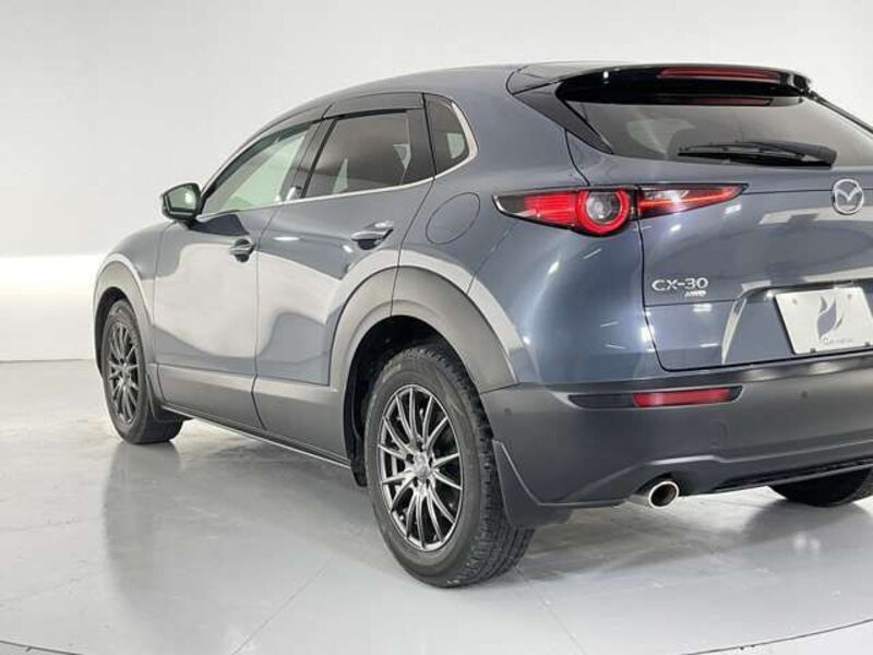 CX-30