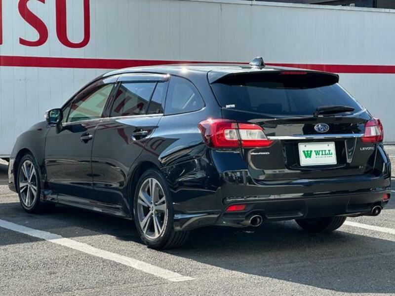 LEVORG