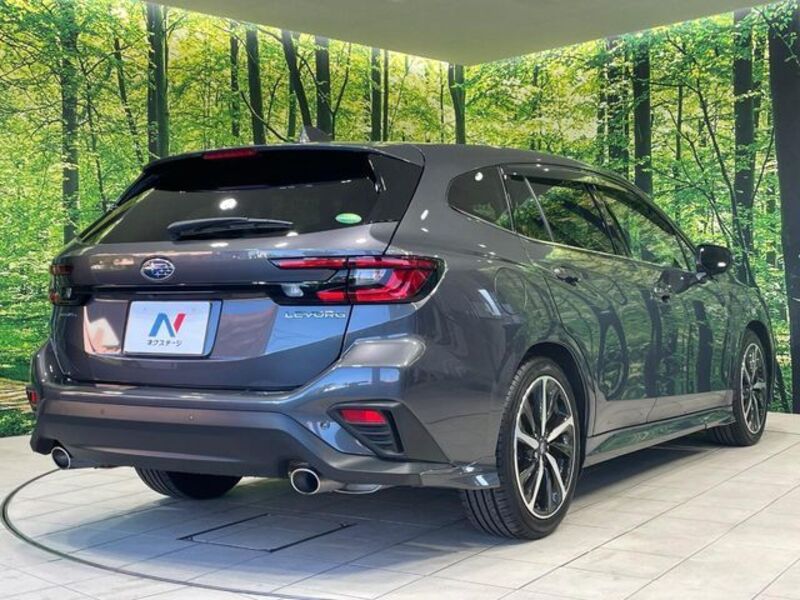 LEVORG