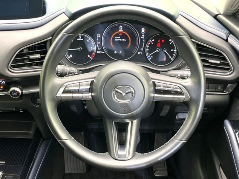 CX-30