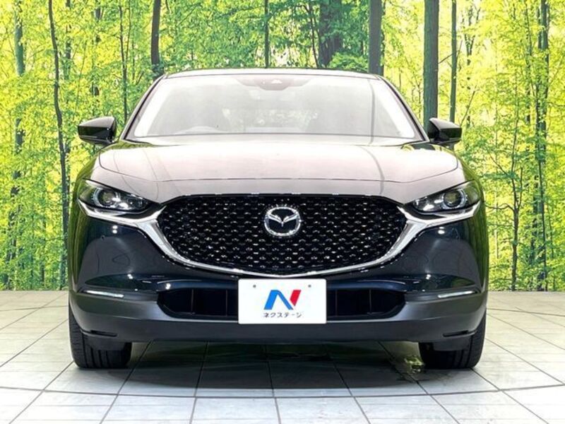 CX-30