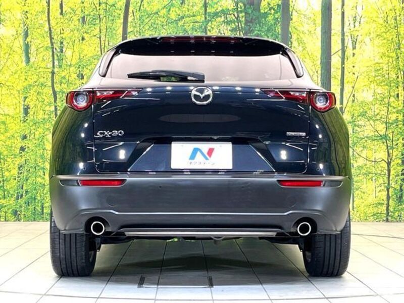 CX-30