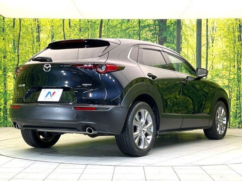 CX-30