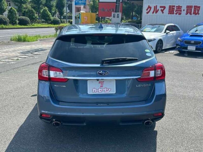 LEVORG