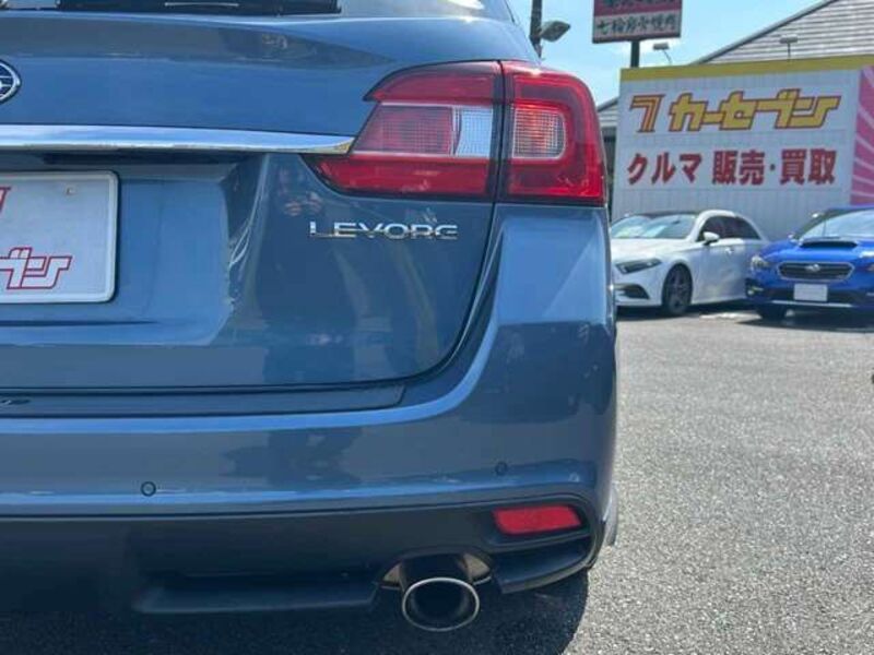 LEVORG