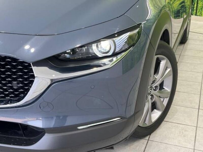 CX-30