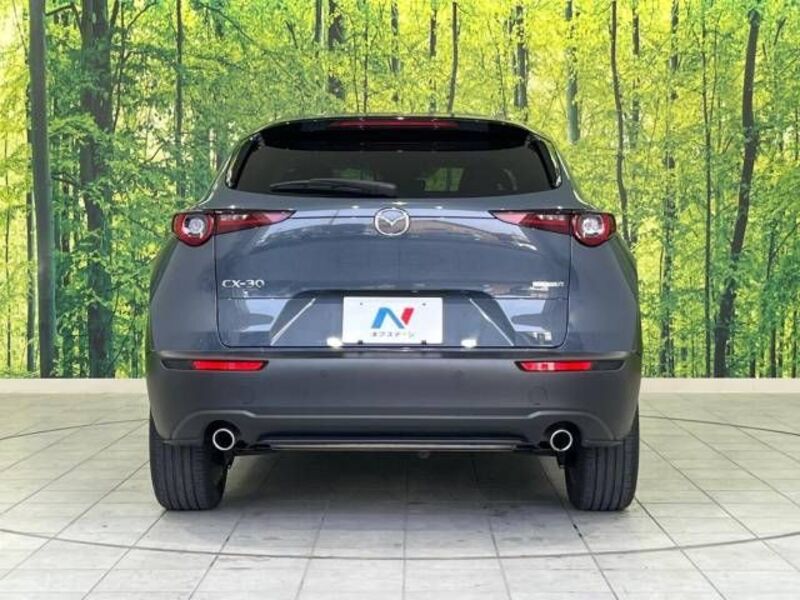 CX-30